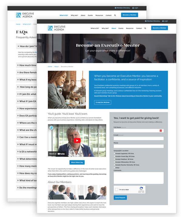 Executive Agenda website executive mentor page
